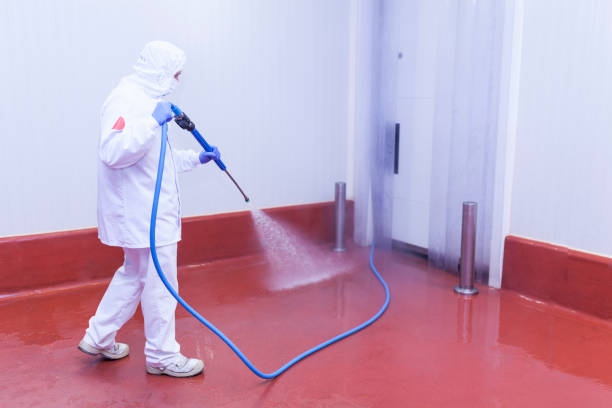 Best Sidewalk and Walkway Pressure Cleaning in Dupont, PA